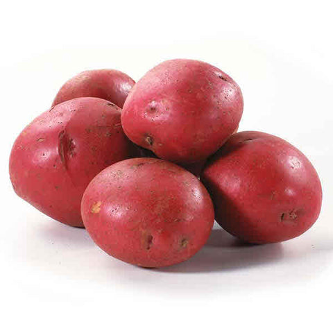 Potato-Red-B