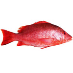 Red Snapper large-(Makola Alexandria-VA)-B